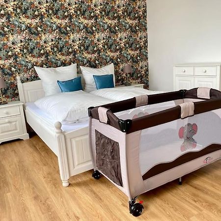 2-Zimmer Zentral In Ferdinandshof, Wlan Modern Kültér fotó