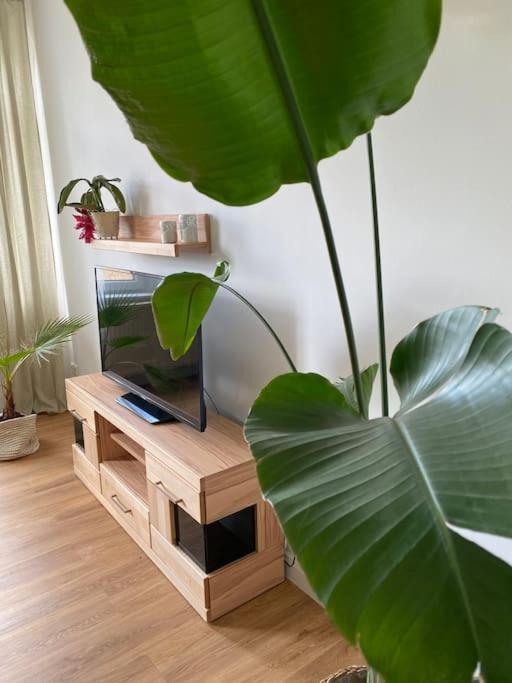 2-Zimmer Zentral In Ferdinandshof, Wlan Modern Kültér fotó
