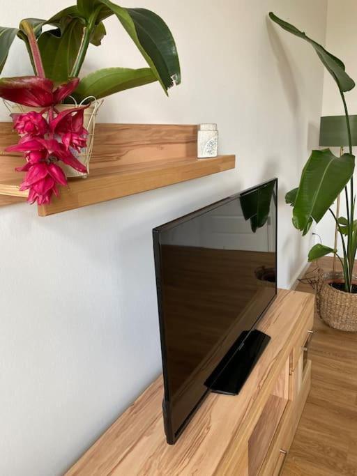 2-Zimmer Zentral In Ferdinandshof, Wlan Modern Kültér fotó