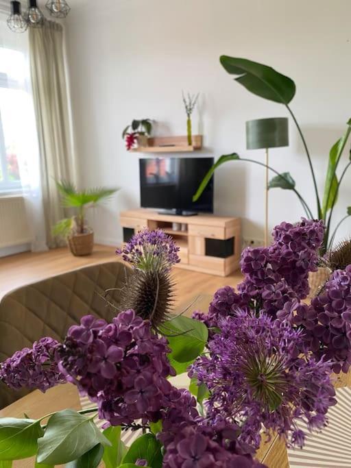 2-Zimmer Zentral In Ferdinandshof, Wlan Modern Kültér fotó